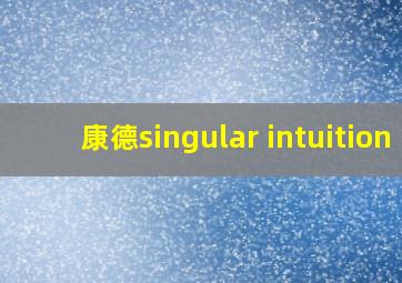 康德singular intuition